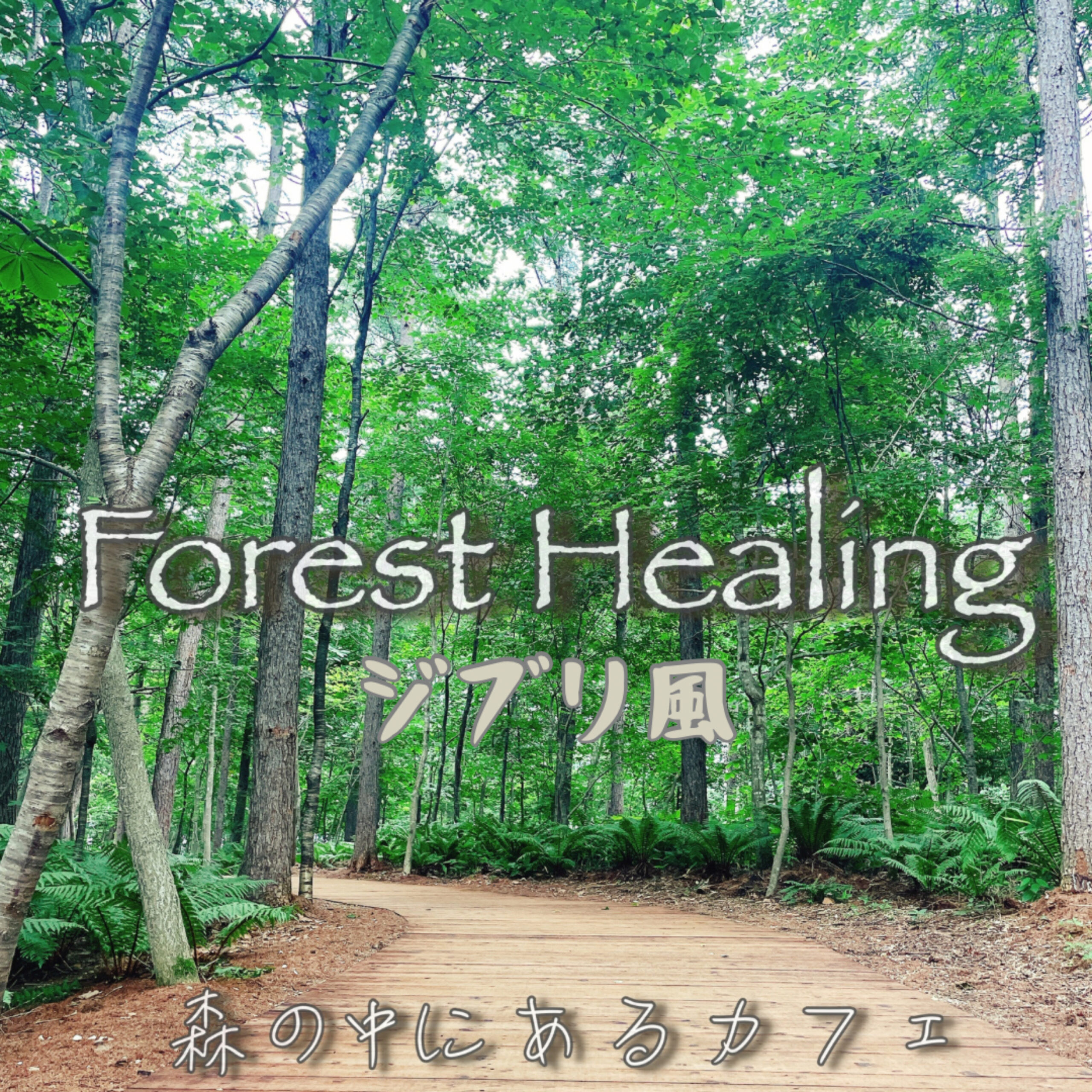 Forest Healing ジブリ風 森の中にあるカフェ 睡眠導入BGM、瞑想BGM
