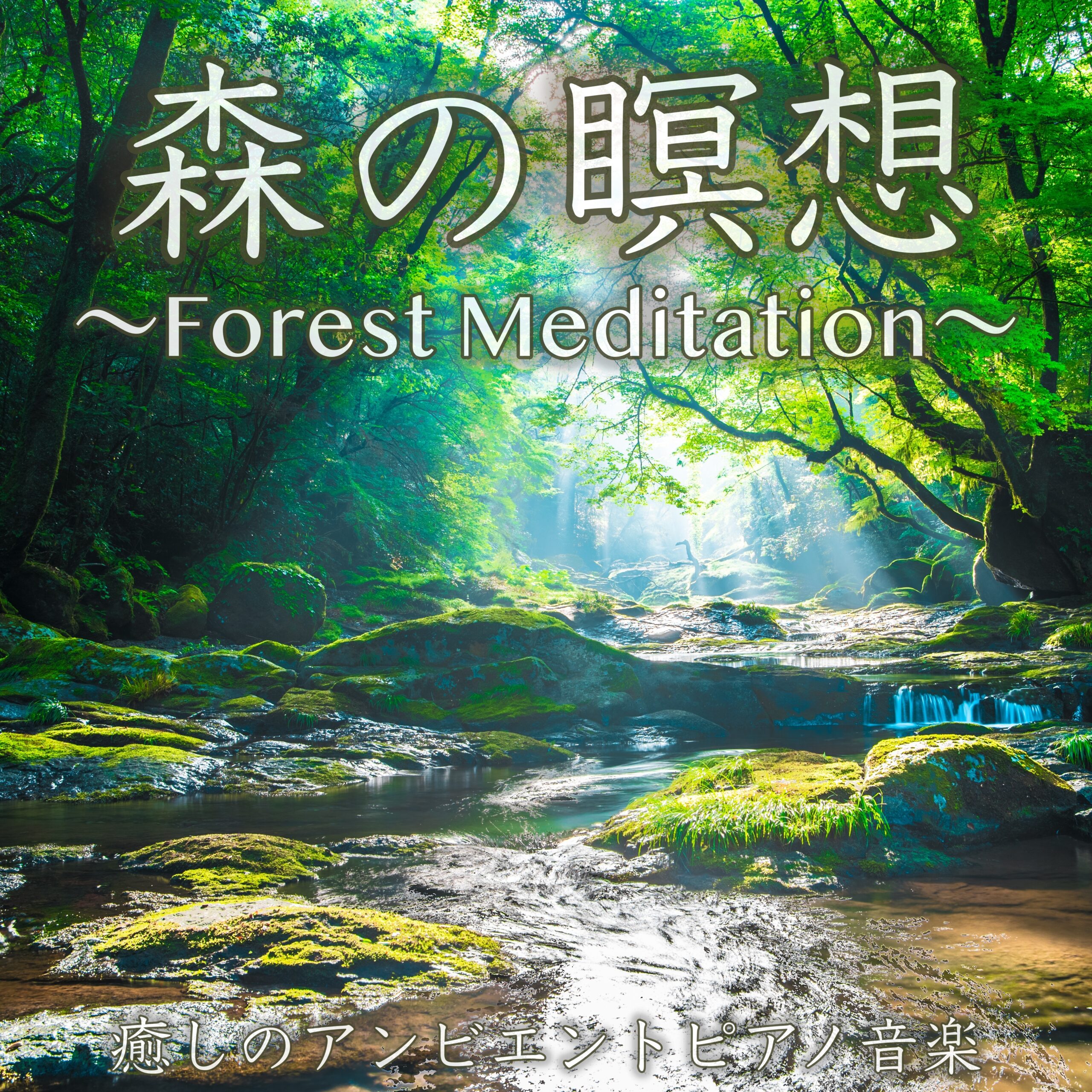森の瞑想 ～Forest Meditation～ 癒しのアンビエントピアノ音楽 睡眠導入リラックスBGM