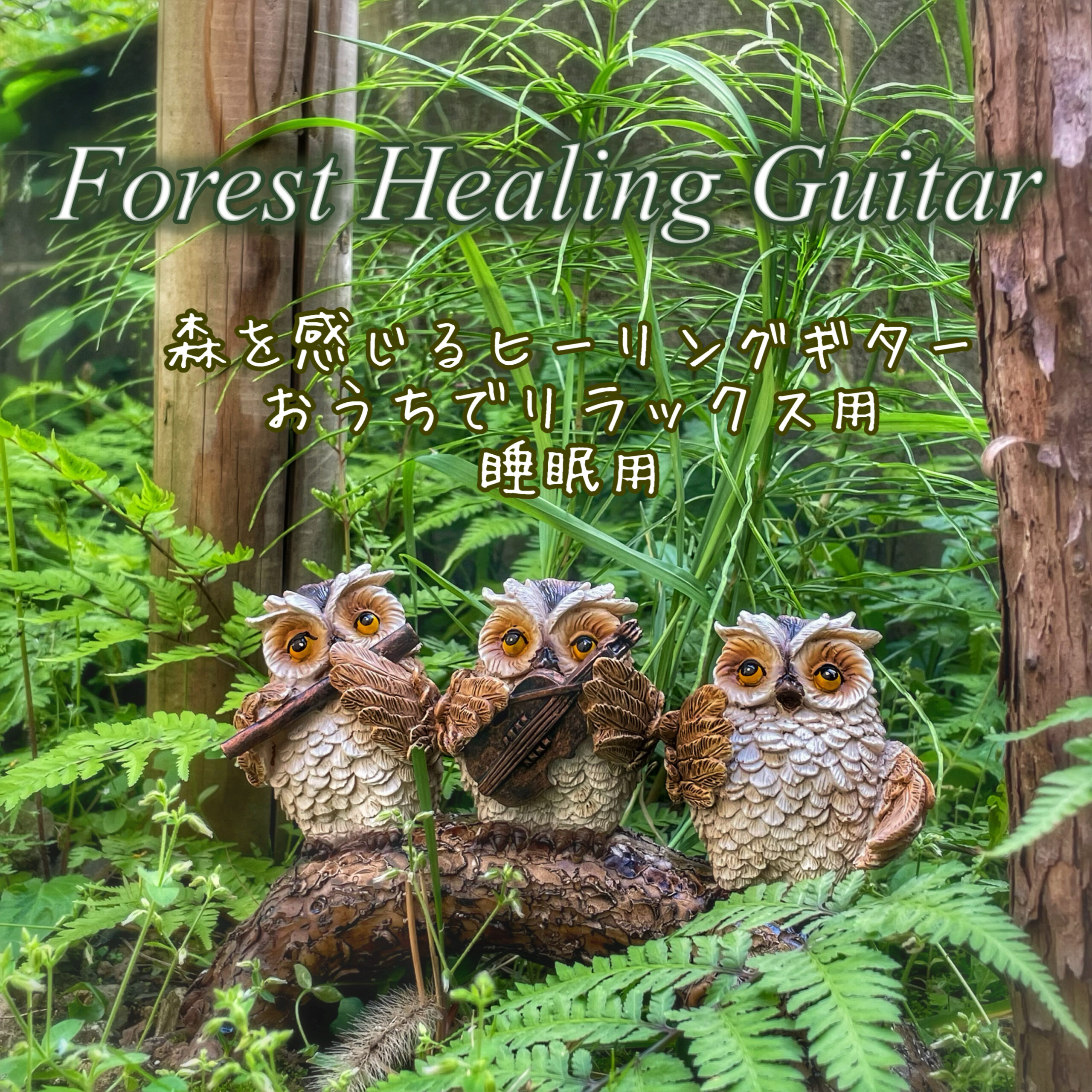 Forest Healing Guitar 森を感じる癒しのヒーリングギター おうちでリラックス用 睡眠用