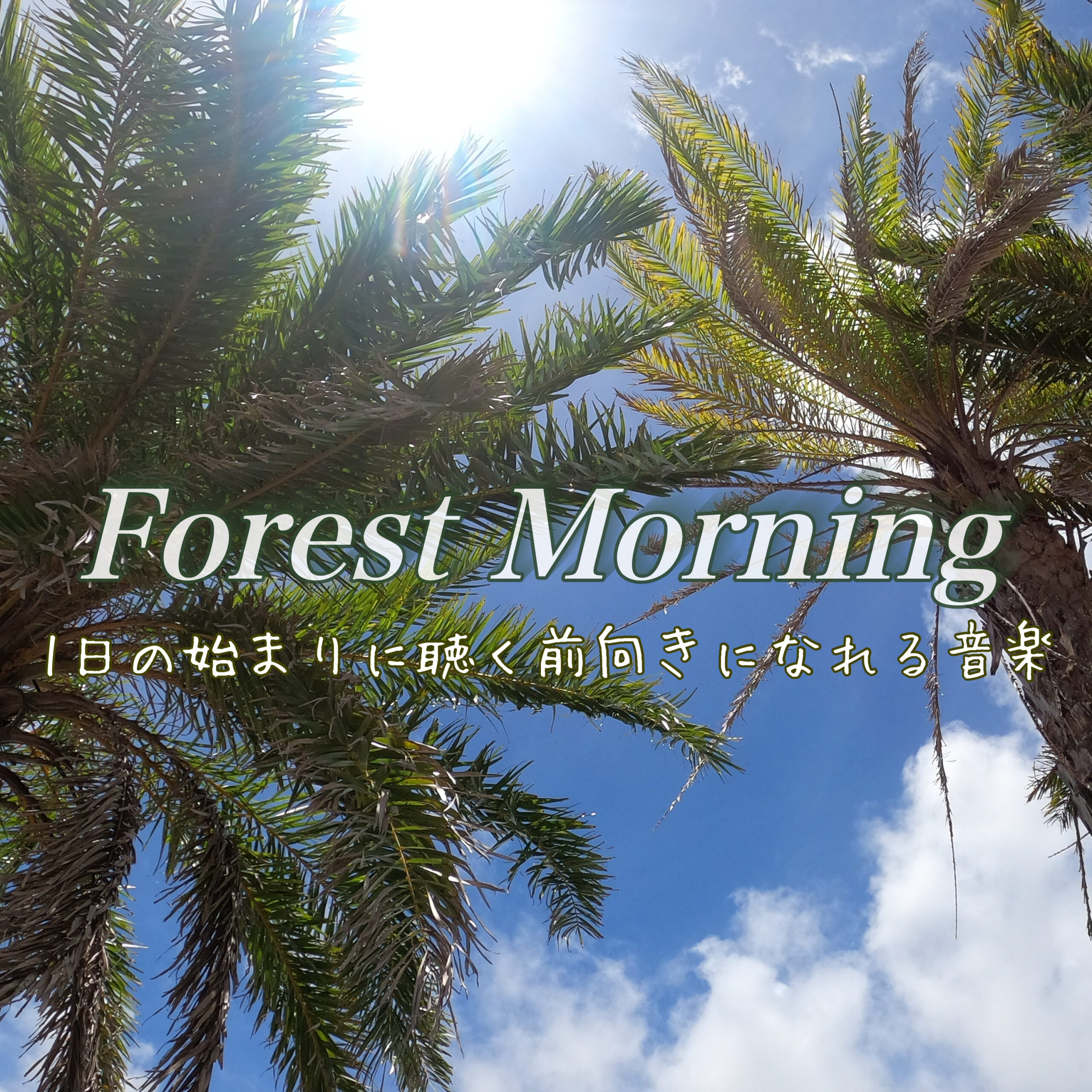 Forest Morning 1日の始まりに聴く前向きになれる音楽