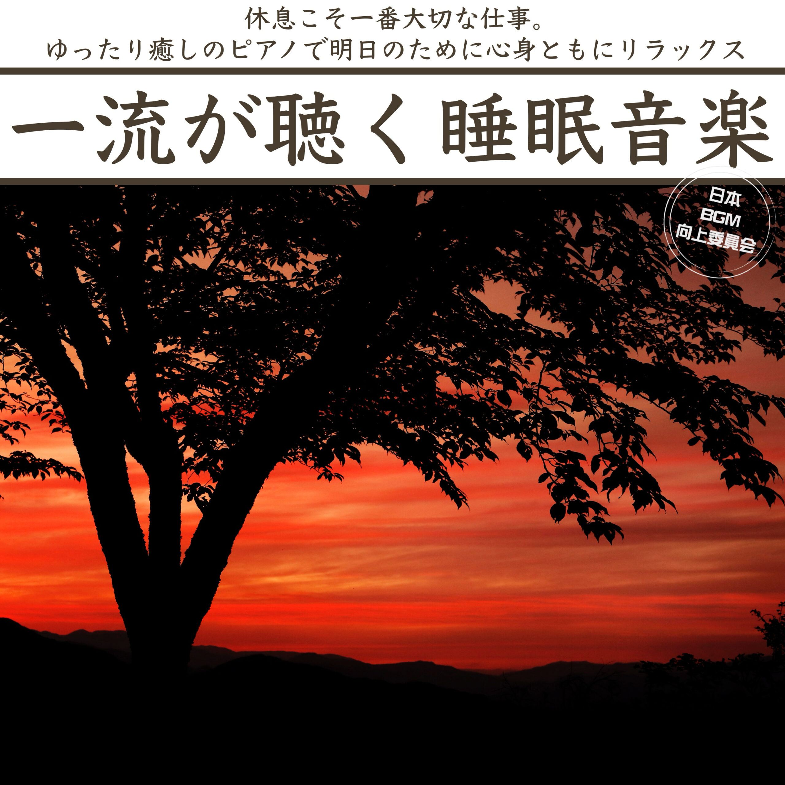一流が聴く睡眠音楽 休息こそ一番大切な仕事。ゆったり癒しのピアノで明日のために心身ともにリラックス