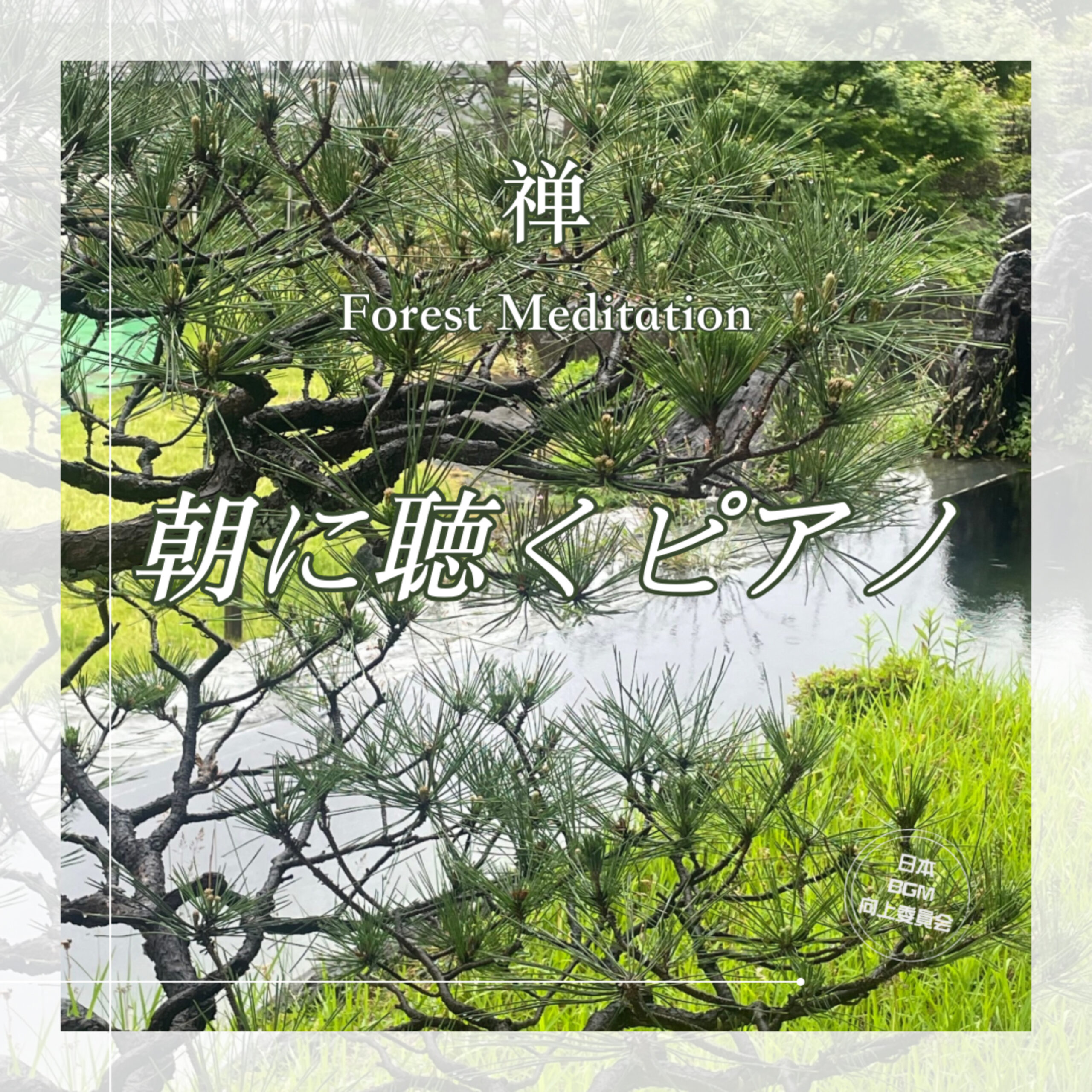 朝に聴くピアノ 禅 Forest Meditation