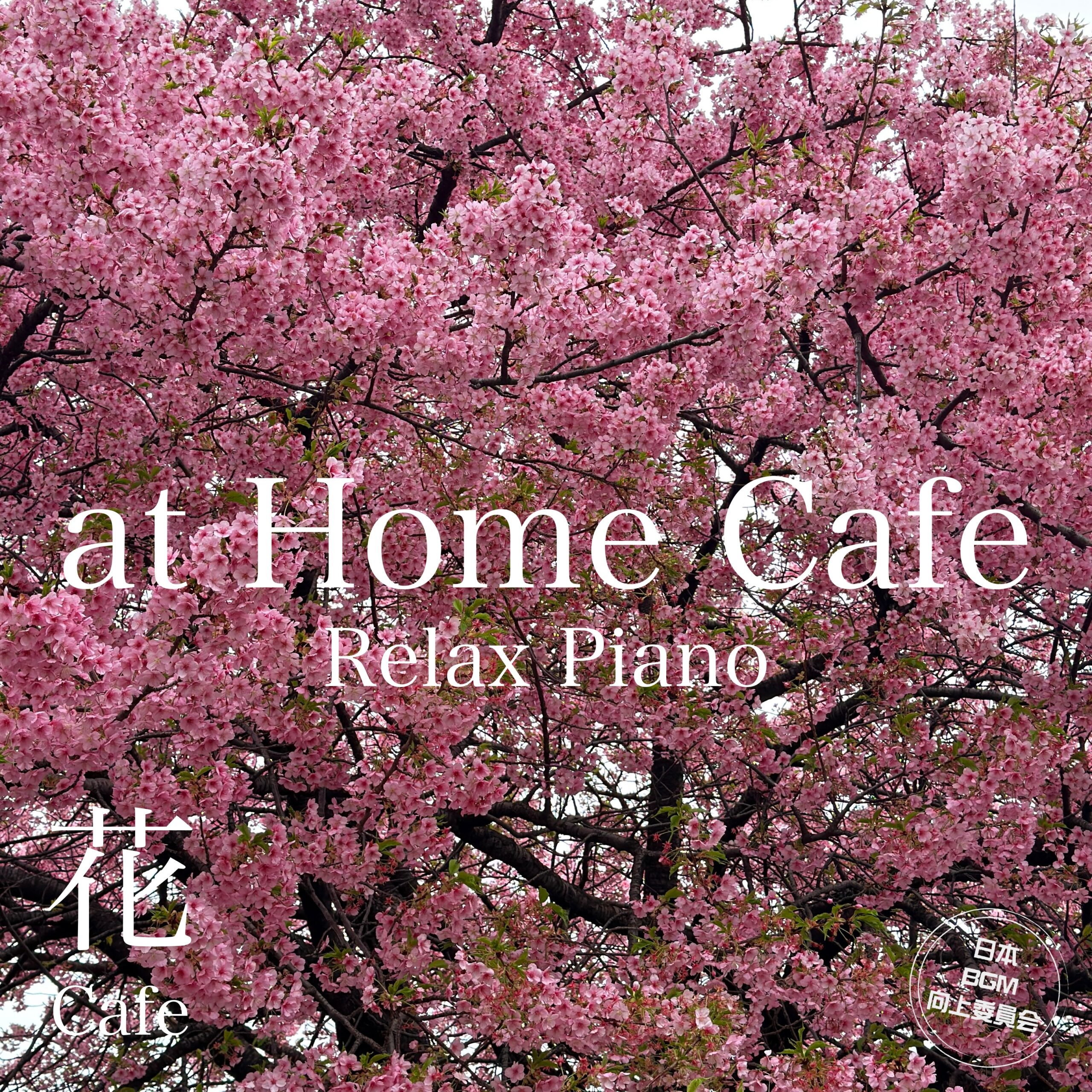 at Home Cafe Relax Piano 花Cafe