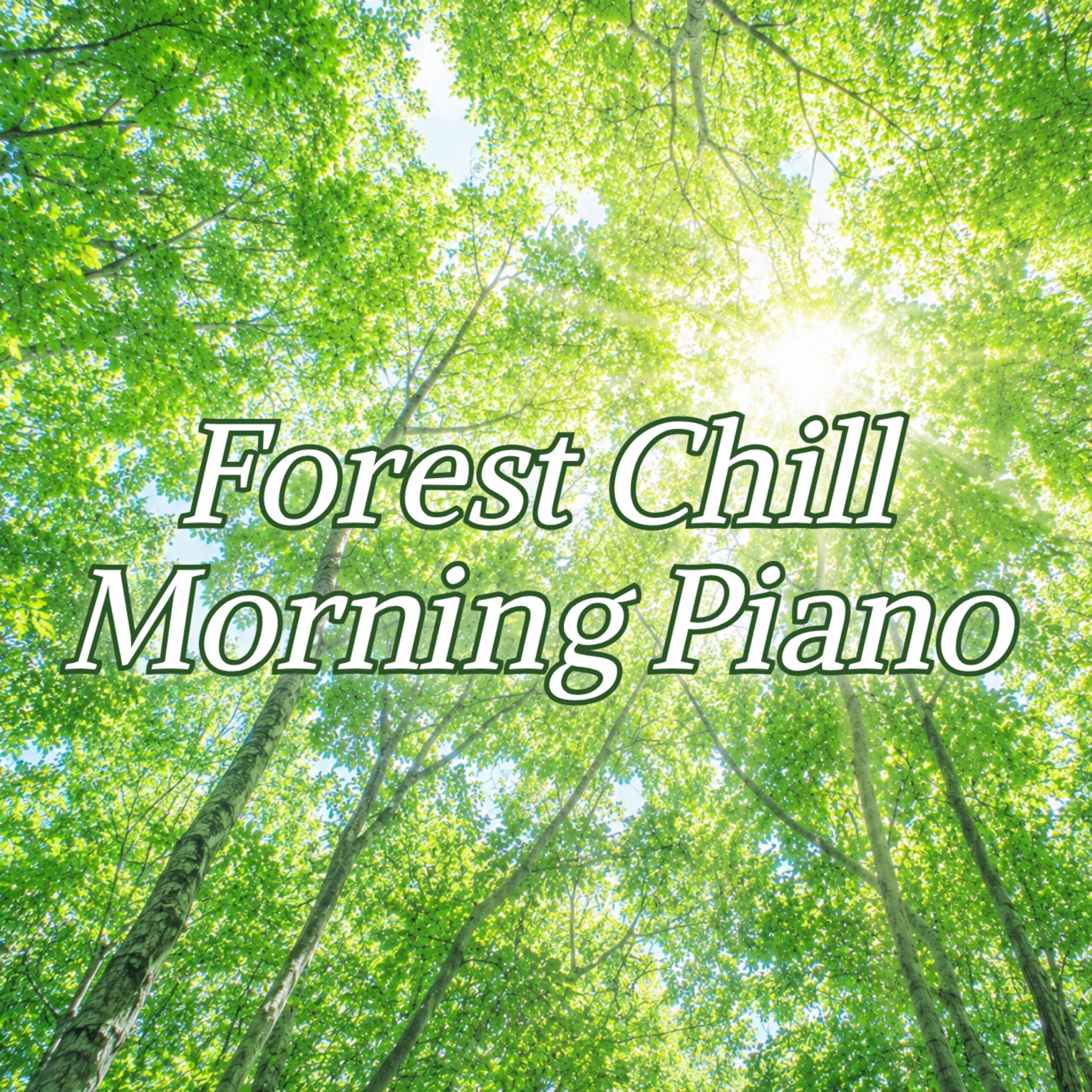Forest Chill Morning Piano 朝ピアノBGM